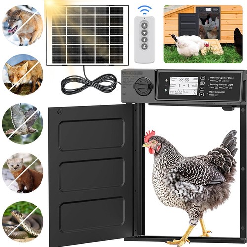 Automatic chicken coop - chicken, door