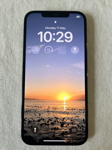 Iphone pro max 256gb - 12,