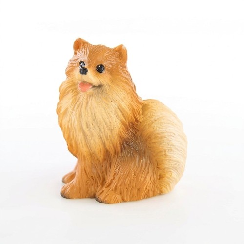 Pomeranian red tiny one - pomeranian,