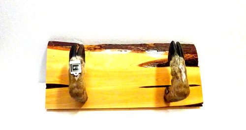 Deer hoof gun rack - hoof,