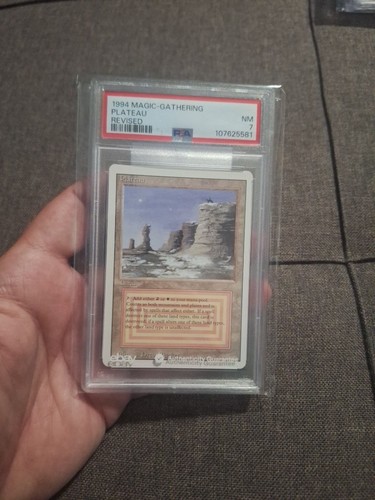 Psa plateau dual land - 7,
