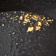 Yosemite Gold Paydirt from