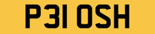 POSH RARE 2 DIGIT CAR NUMBER