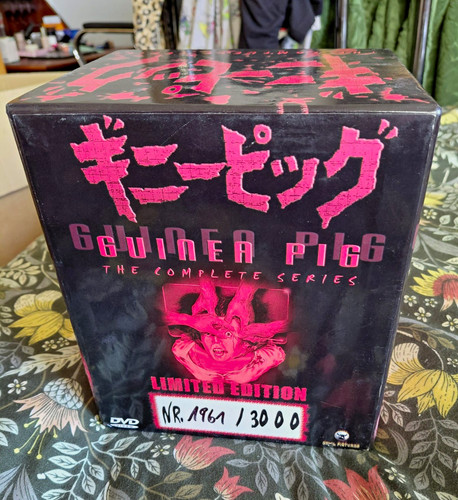 Guinea pig complete - pig,