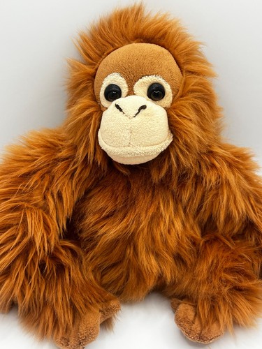Monkey world orangutan fluffy - monkey,