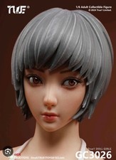 1/6 Scale Female Sexy Action
