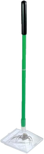 Spider catcher humane - catcher, quick