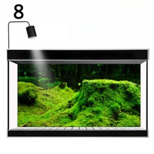 UK STOCK 3D Jungle Forest Fish