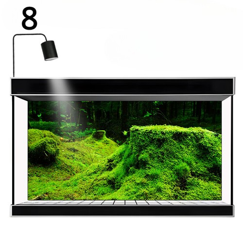 Stock jungle forest fish - stock, 3d