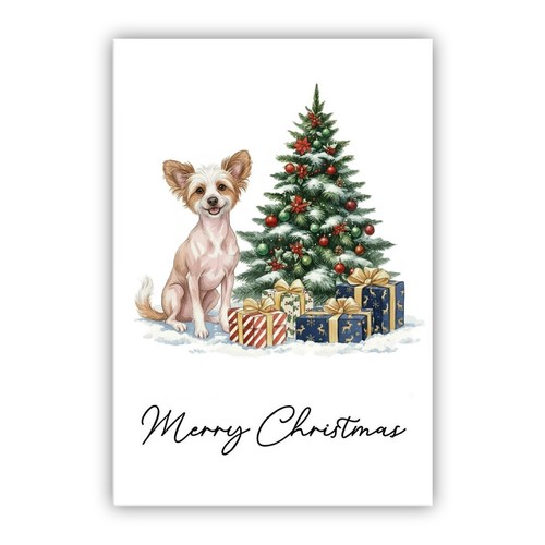 Chinese crested dog - crested, christmas