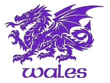 Welsh Dragon Wales Mystical