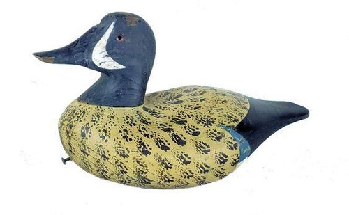 Blue wing teal - blue,