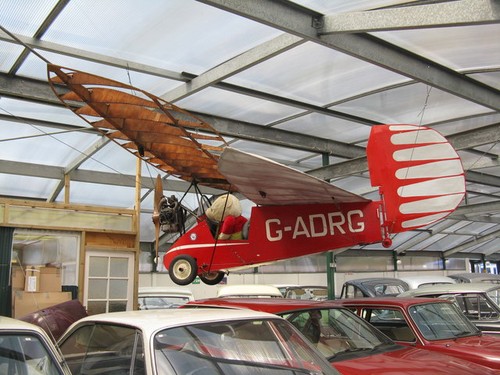 Photo flying flea at - photo,