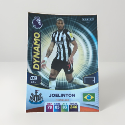 Panini premier league dynamo - panini,