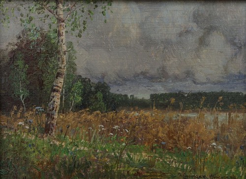 Landscape the lake with - on,