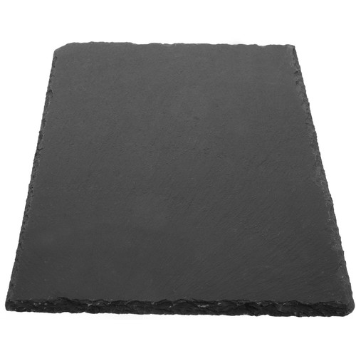 Tortoise pad turtle - turtle, basking