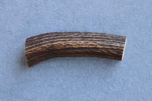 Real red deer antler - real,