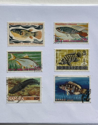 Exotic fish postage stamp - fish,