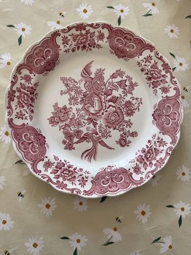 Windsor pink dinner plate - windsor,