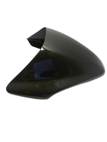 Single seater carbon tail - carbon,