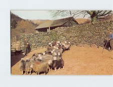 Postcard Britain's Countryside