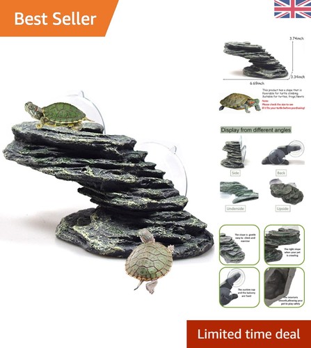 Natural rock turtle basking - rock,