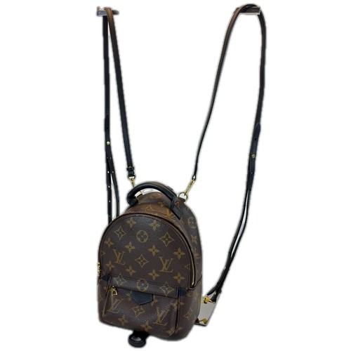 Louis vuitton palm springs - vuitton,