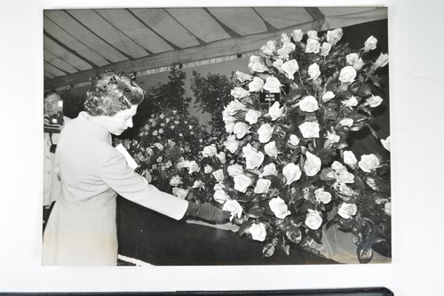 Queen elizabeth silver - elizabeth, ii