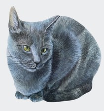 Russian blue cat - russian, magnet