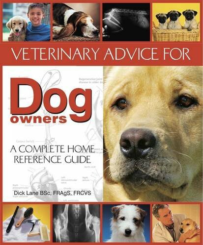 Veterinary advice for dog - veterinary,