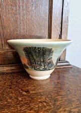 Boscastle Pottery Flared Bowl