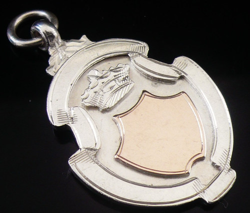 Sterling silver gold pocket - silver,