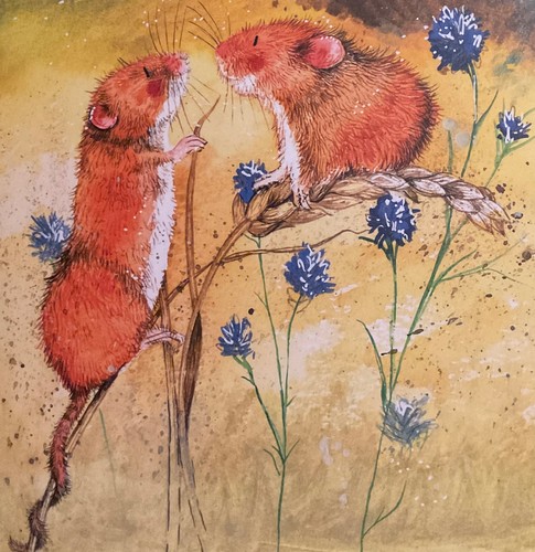 Alex clark card harvest mice - alex,