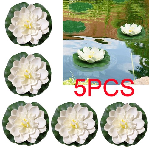 Floating plants water lily - floating,