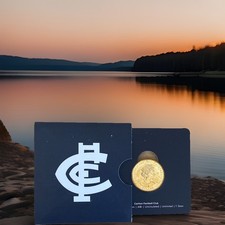2023 - AFL Carlton Football