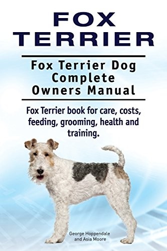 Fox terrier - fox, dog