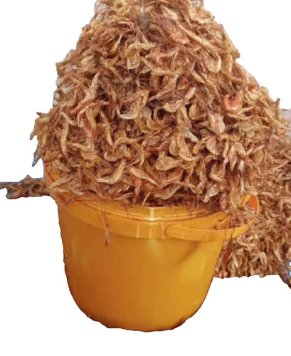 Dried oron crayfish - crayfish, #cleaned