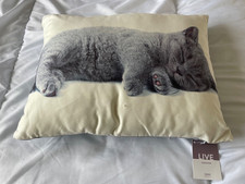 BNWT Cat Cushion