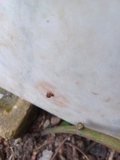 Vintage Marble Slab for