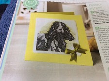(G97) Blue Roan Cocker Spaniel