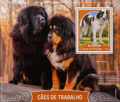 Working dogs bernard - dogs, &