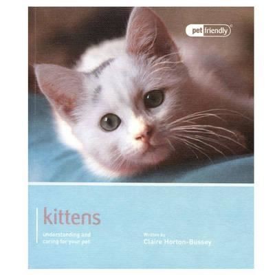 Kitten - :,