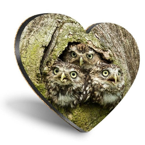 Heart mdf coasters owl - heart,