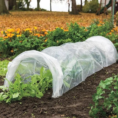 Poly tunnel cloche - poly,