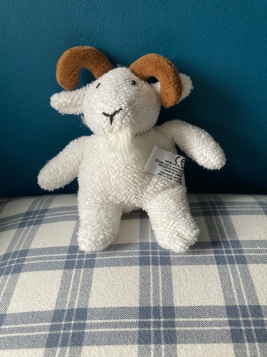 Suki gruffy white goat ram - gruffy, /