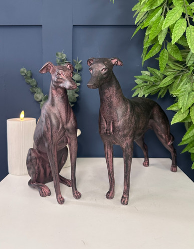 Pair greyhound dog - greyhound,