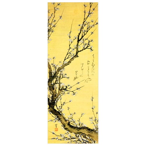 Flowering plum hokusai - flowering,