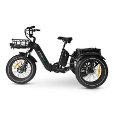 Jorvik Dual Battery Electric