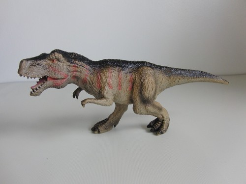 Tyrannosaurus rex dinosaur - rex,