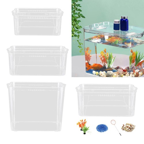 Desktop fish tank high - fish,